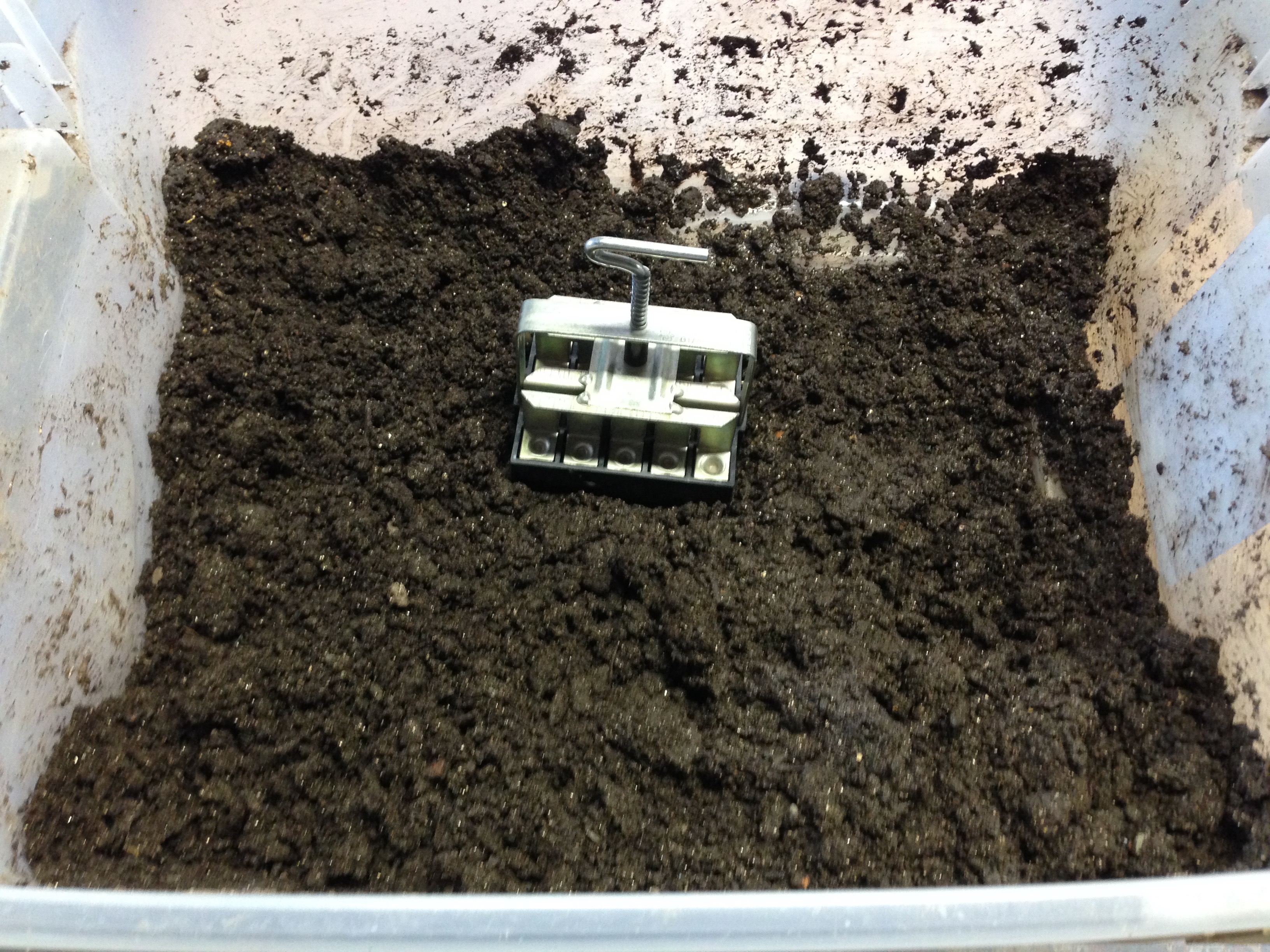 3/4" block mold in soil mix
