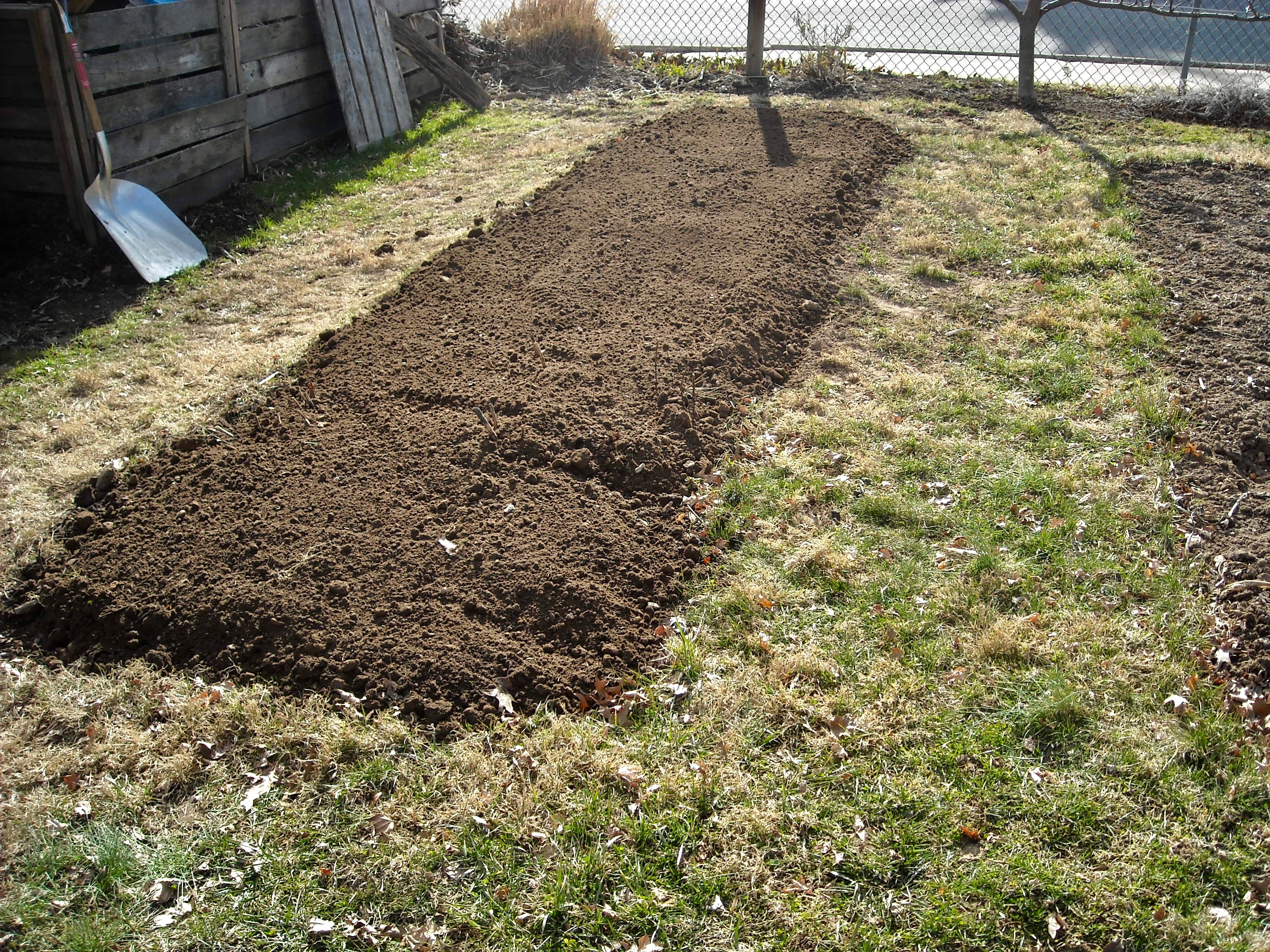 Garden Bed after Double-Digging