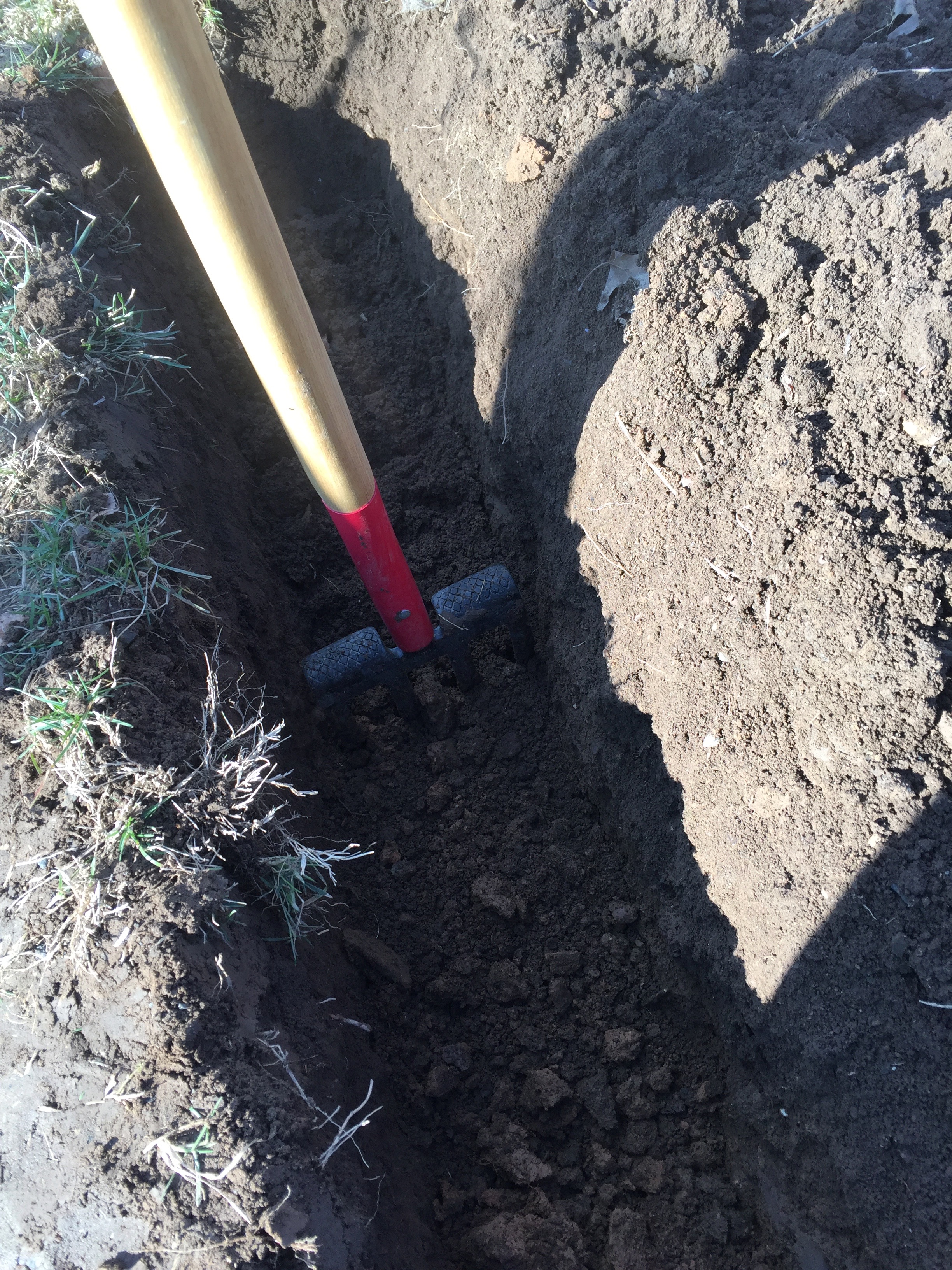 Spading fork in a trench.